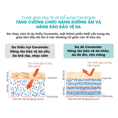 (Hàng nhập khẩu) Dầu Xả Curél Intensive Moisture Care Conditioner Cấp Ẩm Chuyên Sâu