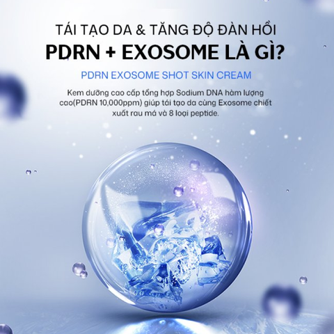 (Hàng nhập khẩu) Kem dưỡng BEAUTYdrama PDRN Exosome Shot Skin Cream 50g - Hỗ Trợ Phục Hồi Da, Làm Dịu, Tăng Độ Đàn Hồi