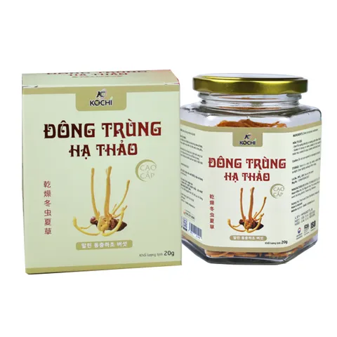 (Chính hãng) Combo 2 hộp Đông trùng hạ thảo Kochi sấy khô - Hộp 20g