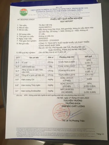 (Hàng chính hãng) Tỏi đen cô đơn ngâm mật ong nguyên chất Kochi - Hộp 500g
