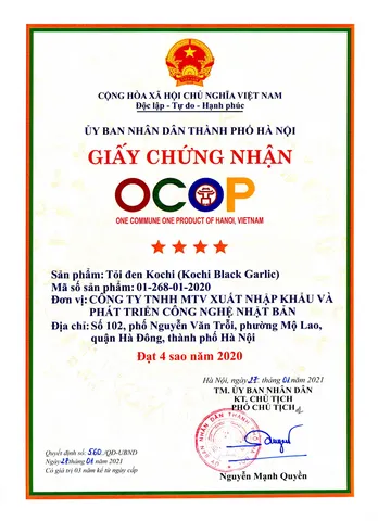 (Hàng chính hãng) Tỏi đen KochiGold cô đơn cao cấp 250g – Bổ sung dưỡng chất từ tỏi đen lên men