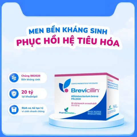 (Hàng nhập khẩu) Men Brevicillin Hộp 20 Gói - Hỗ Trợ Hệ Vi Sinh Đường Ruột