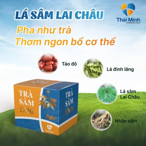 (Hàng chính hãng) Trà Sâm 1700 Thái Minh Hộp 20 Gói - Hỗ Trợ Bồi Bổ Sức Khỏe
