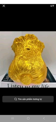 Heo đất bắp cải lỗ tròn siêu cute