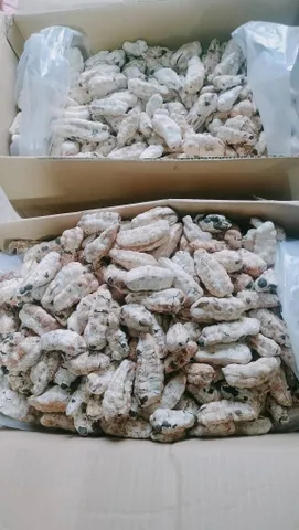 Quả Chuối Cô Đơn Khô Dùng Ngâm Tửu