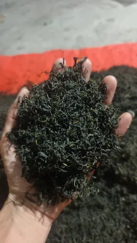 100g trà búp Thái Nguyên thượng hạng
