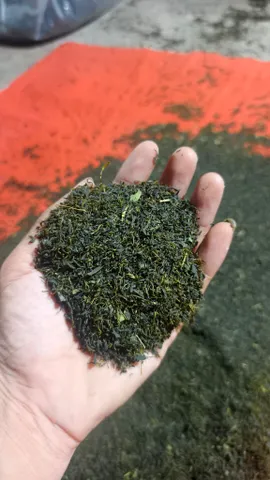500g Trà Tấm Đinh Thượng Hạng
