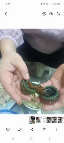 Bột làm trứng bắc thảo