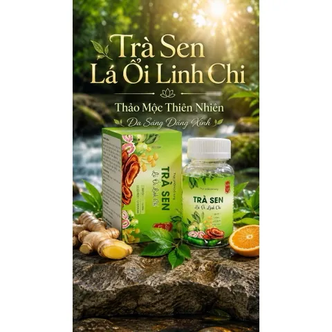Trà Sen Lá Ổi Linh Chi Hỗ Trợ Giảm Cân