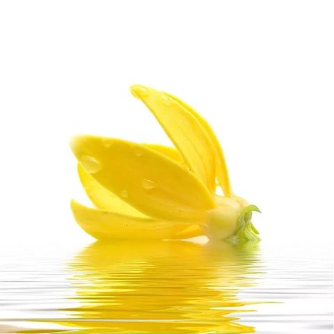 Gel massage hương hoa ngọc lan Durex Play Ylang Ylang