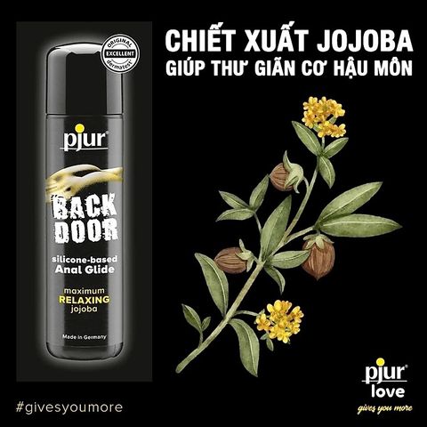 Pjur Back Door Relaxing