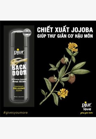 Pjur Back Door - l&agrave;nh t&iacute;nh v&agrave; hiệu quả