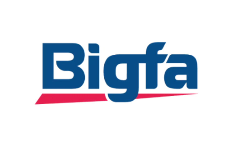 Công ty cổ phần Bigfa