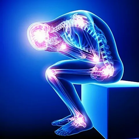 Bổ trợ xương khớp