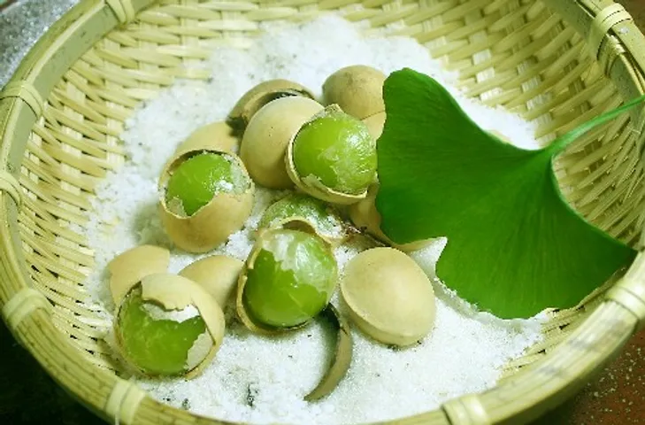 Công dụng của viên uống tuần hoàn não Ginkgo Biloba 120 mg của Mỹ