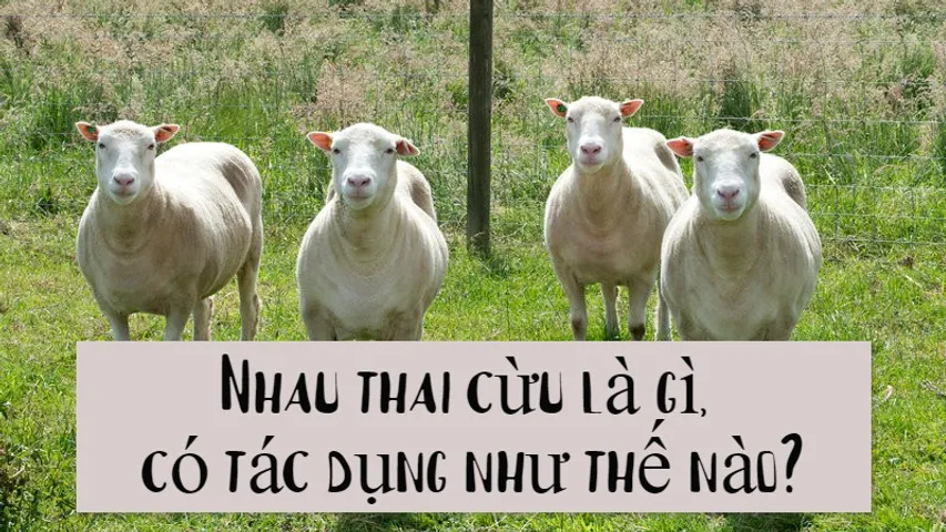 Viên uống nhau thai cừu có tác dụng gì? Mẹ nào đã dùng thử chưa?