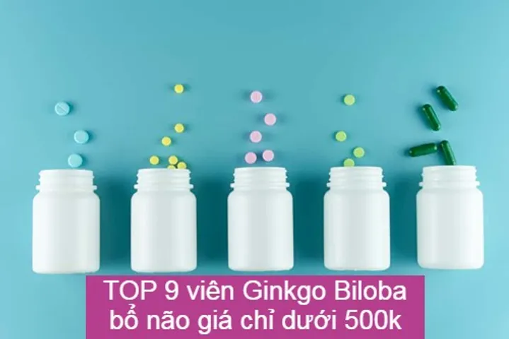 Review TOP 15 viên Ginkgo Biloba bổ não, tăng cường trí nhớ
