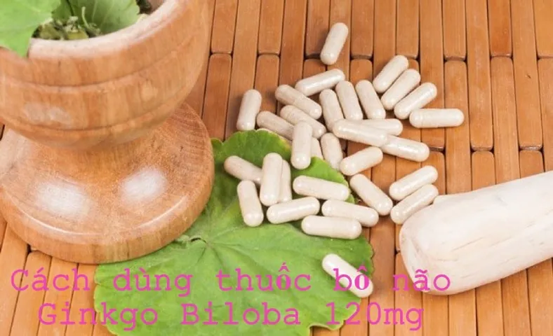 Hướng dẫn cách dùng thuốc bổ não Ginkgo Biloba 120mg đúng chuẩn từ chuyên gia