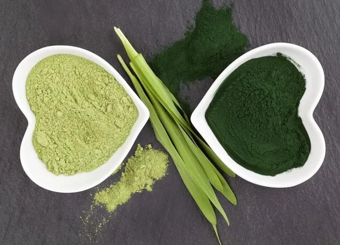 Sự khác biệt giữa tảo lục Chlorella và tảo xoắn Spirulina là gì?