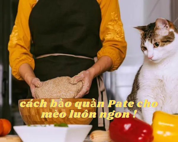 11 Cách bảo quản Pate cho mèo luôn tươi ngon