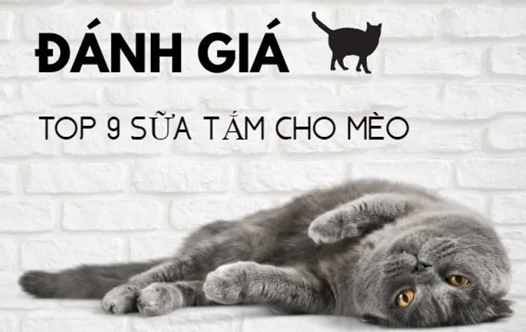 TOP 10 sữa tắm cho mèo khử mùi tốt, hương thơm lâu