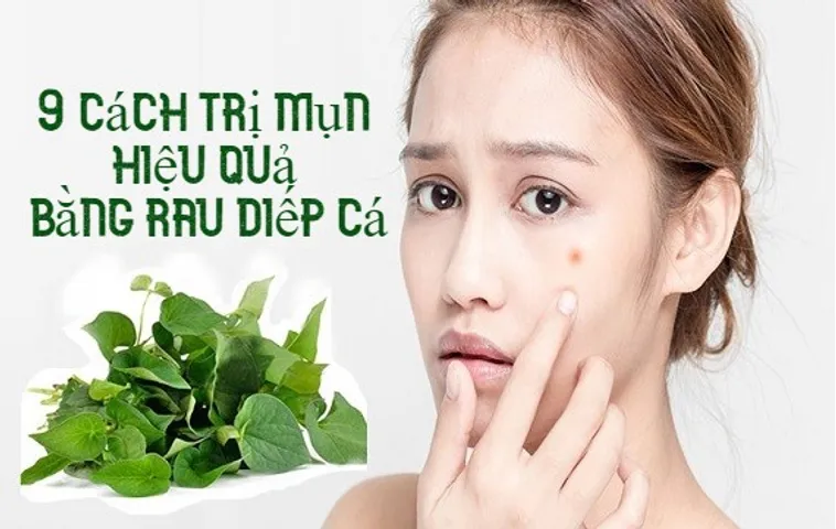 9+ cách trị mụn bằng rau diếp cá nhanh chóng, hiệu quả và an toàn