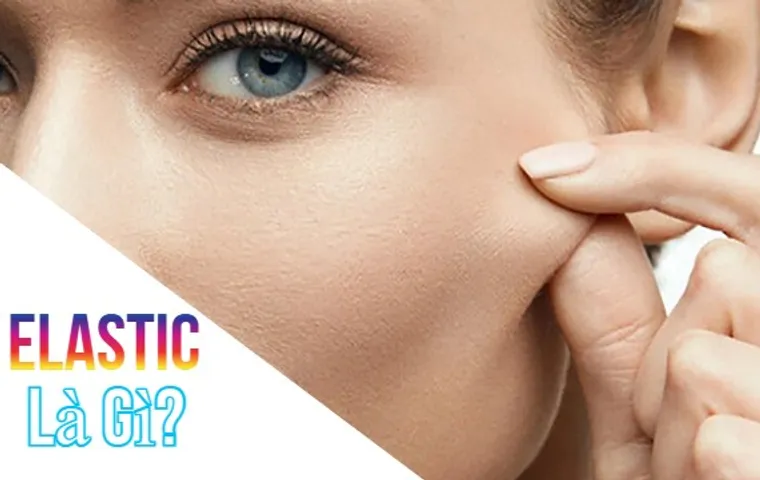Elastin là gì? Cách bổ sung Collagen và Elastin đối với da lão hóa