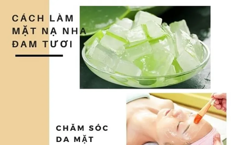17 Cách làm mặt nạ nha đam trị mụn, dưỡng ẩm, dưỡng trắng da