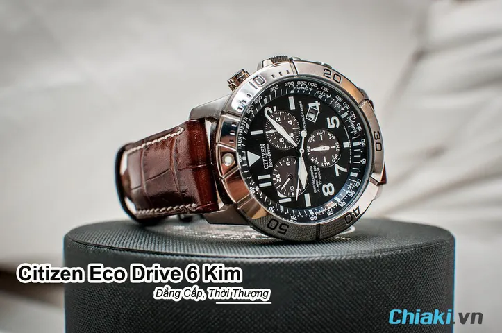 Top 10 mẫu đồng hồ Citizen Eco Drive 6 kim đáng mua 2026