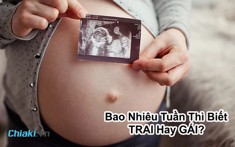 Mang Thai Bao Nhiêu Tuần Thì Biết Trai Hay Gái? [Ba Mẹ Nên Biết]