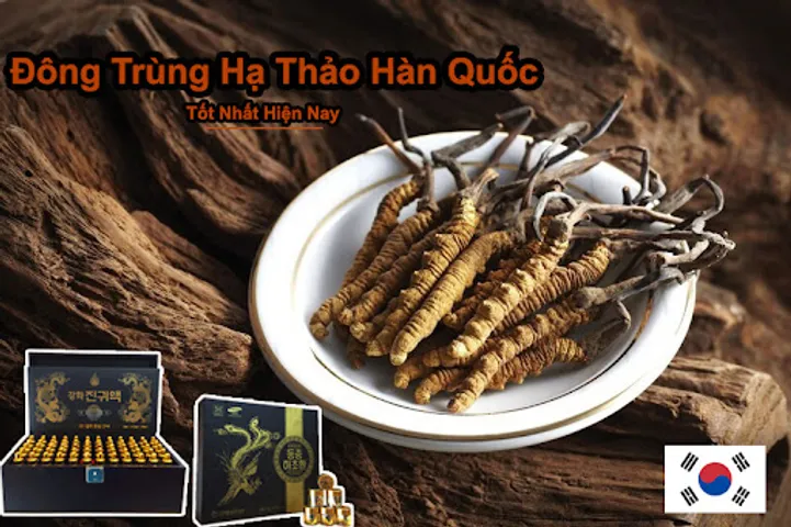 TOP 10 Đông trùng hạ thảo Hàn Quốc tốt nên dùng 2026