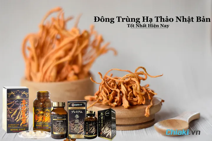 Top 10 Đông trùng hạ thảo Nhật Bản tốt hiện nay 2026