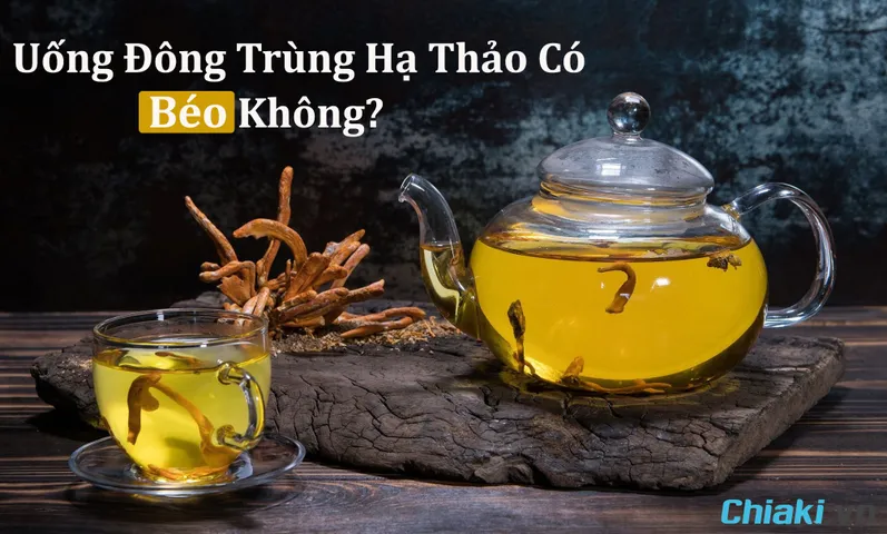 [GIẢI ĐÁP] Uống Đông Trùng Hạ Thảo Có Béo Không? Tăng Cân Không?