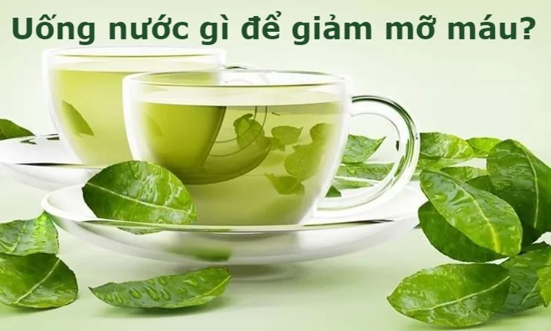 Uống nước gì để giảm mỡ máu? 17+ nước uống giảm mỡ máu tốt 