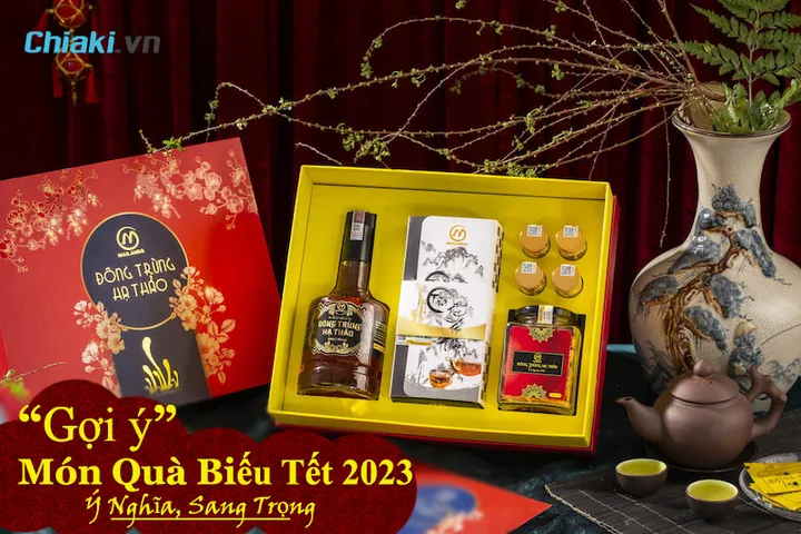 Quà Biếu Tết Nên Mua Gì? 30+ Món Quà Biếu Tết Ý Nghĩa 2026