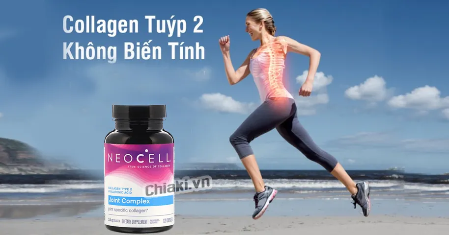 Collagen type 2 có tác dụng gì? Vì sao người đau khớp nên dùng?