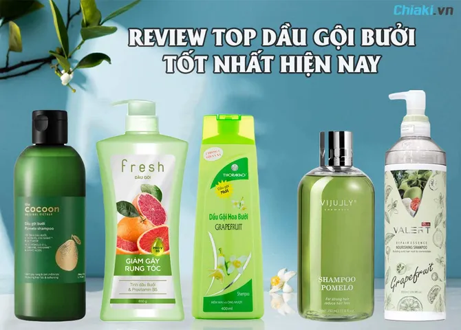 Review top 6 dầu gội bưởi được nhiều người tin dùng hiện nay