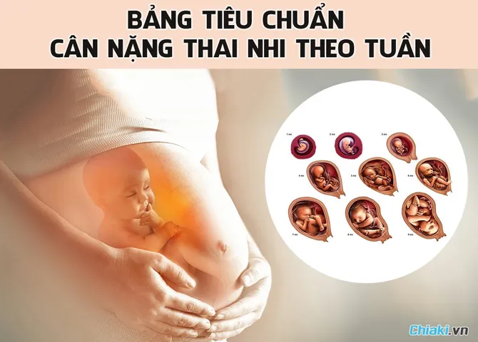 Bảng tiêu chuẩn cân nặng thai nhi theo tuần của WHO chính xác