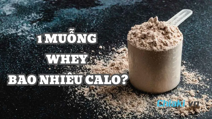 1 muỗng Whey bao nhiêu calo, protein? Nên uống bao nhiêu muỗng Whey 1 ngày?