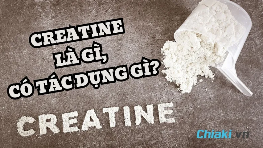 Creatine là gì? Có tác dụng gì và nên sử dụng Creatine như thế nào?