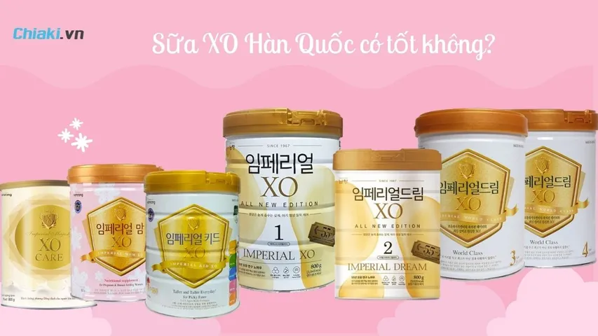 Sữa XO có tốt không? Top 8 loại sữa XO bán chạy hiện nay
