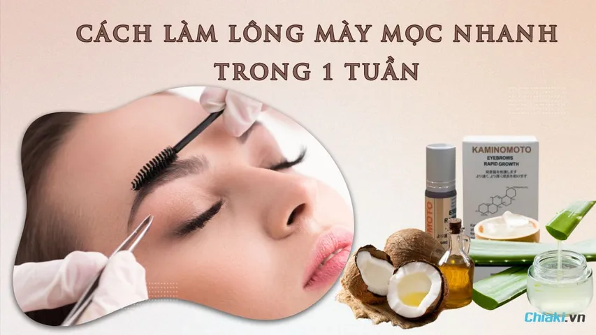 15 Cách làm lông mày mọc nhanh trong 1 tuần cực dễ tại nhà