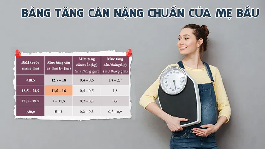 Bảng tăng cân nặng chuẩn của mẹ bầu theo từng giai đoạn thai kỳ