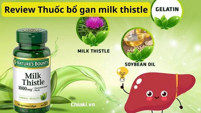 Thuốc bổ gan milk thistle - công dụng tuyệt vời từ cây kế sữa