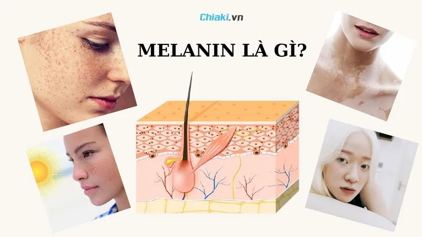 Melanin là gì? Top 5 mỹ phẩm giảm sắc tố Melanin tốt