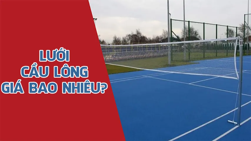 Lưới cầu lông giá bao nhiêu? Mua lưới cầu lông ở đâu chất lượng tốt