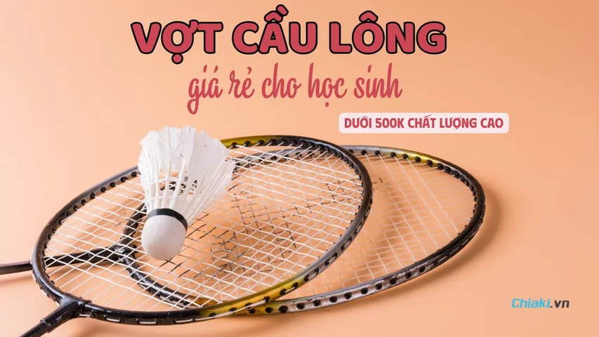 Top 15 Vợt cầu lông giá rẻ cho học sinh dưới 500k chất lượng cao