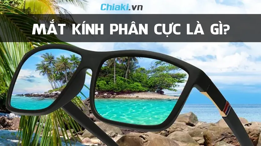 Mắt kính phân cực là gì? Tác dụng của kính phân cực polarized