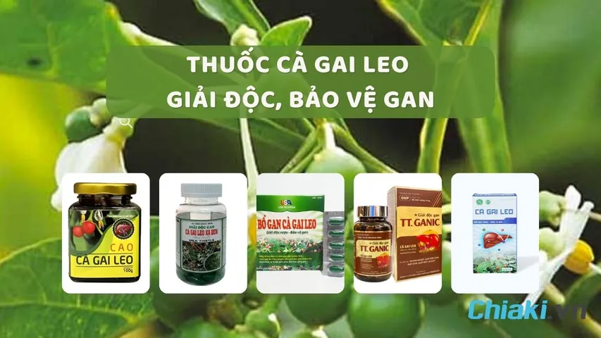 Top 10 thuốc cà gai leo giải độc gan tốt, hiệu quả 2026