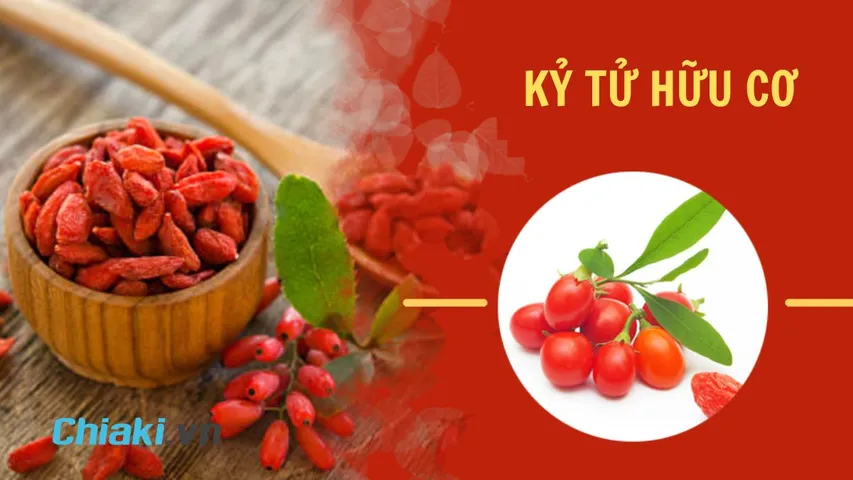 TOP 5 kỷ tử hữu cơ tốt cho sức khỏe được ưa chuộng hiện nay